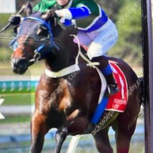 Meet your Posher, Tenille